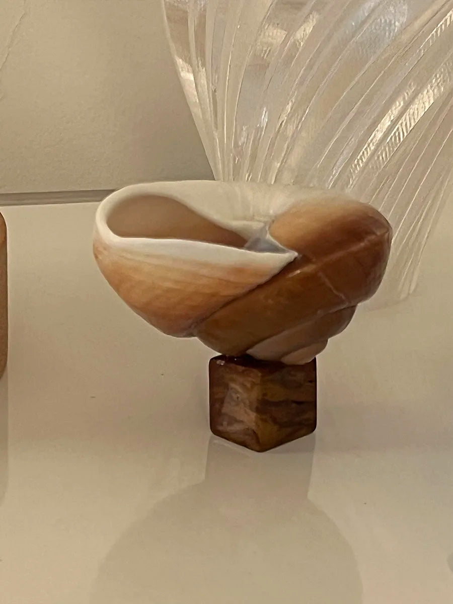 Handgemachte natürliche Muschel Weinglas moderne kreative Nische Weihnachtsgeschenk Geschenk Dekoration Ornamente Haushalt Muschel Kerzenständer - GYLDNE GRÆNSE Gourmet Online Shop
