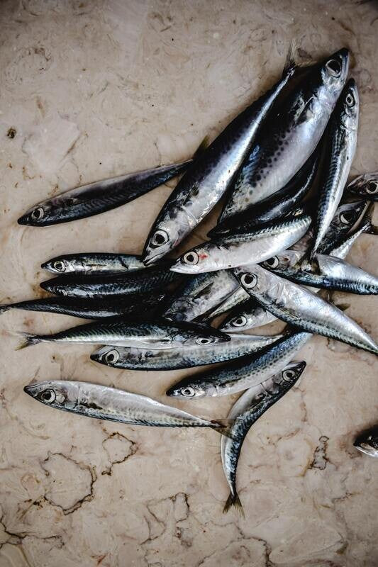 Fisch