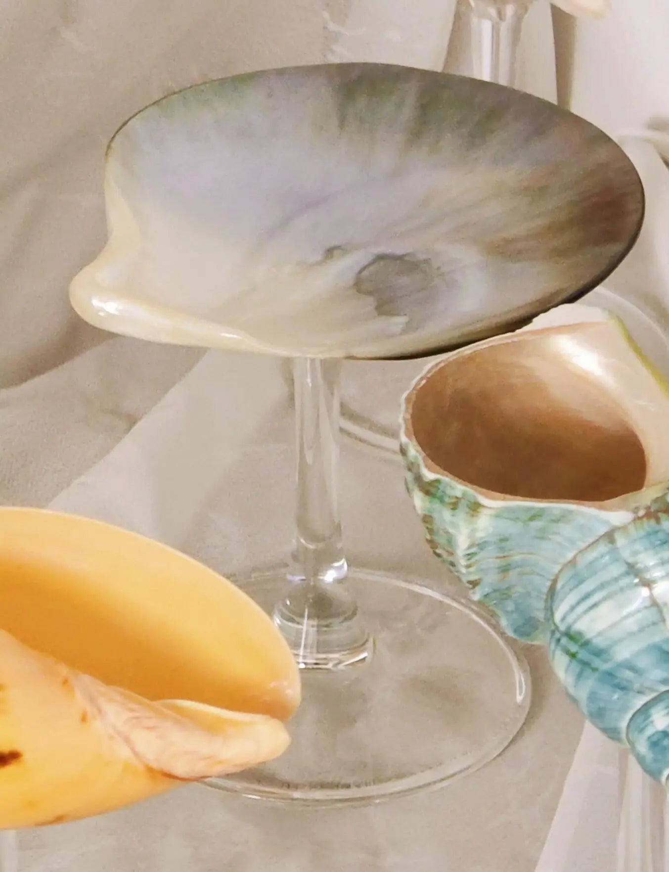 Handgemachte natürliche Muschel Weinglas moderne kreative Nische Weihnachtsgeschenk Geschenk Dekoration Ornamente Haushalt Muschel Kerzenständer - G﻿YLDNE GRÆNSE Gourmet Online Shop 